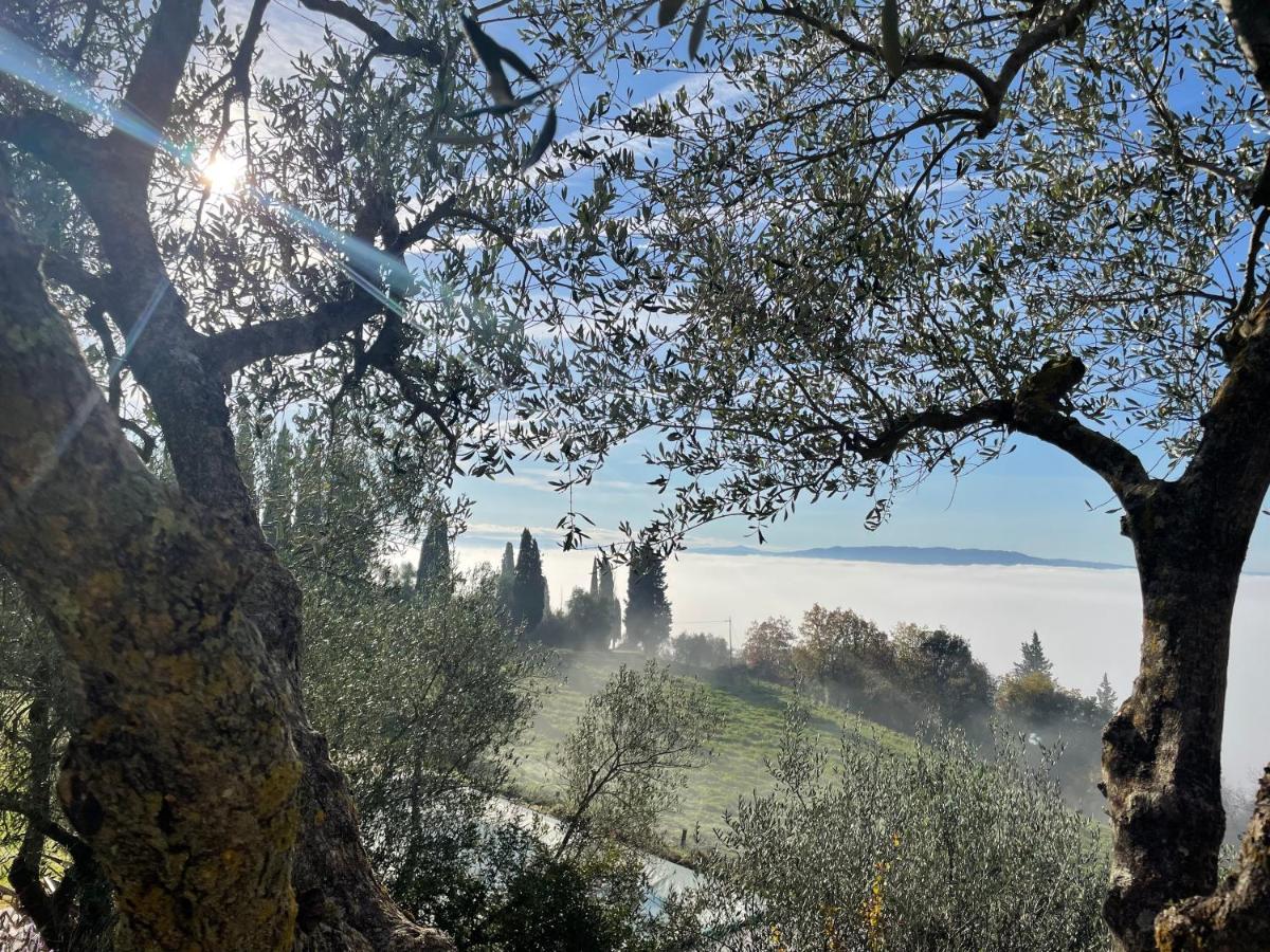 Country House Art And Garden Monte Antico Buitenkant foto