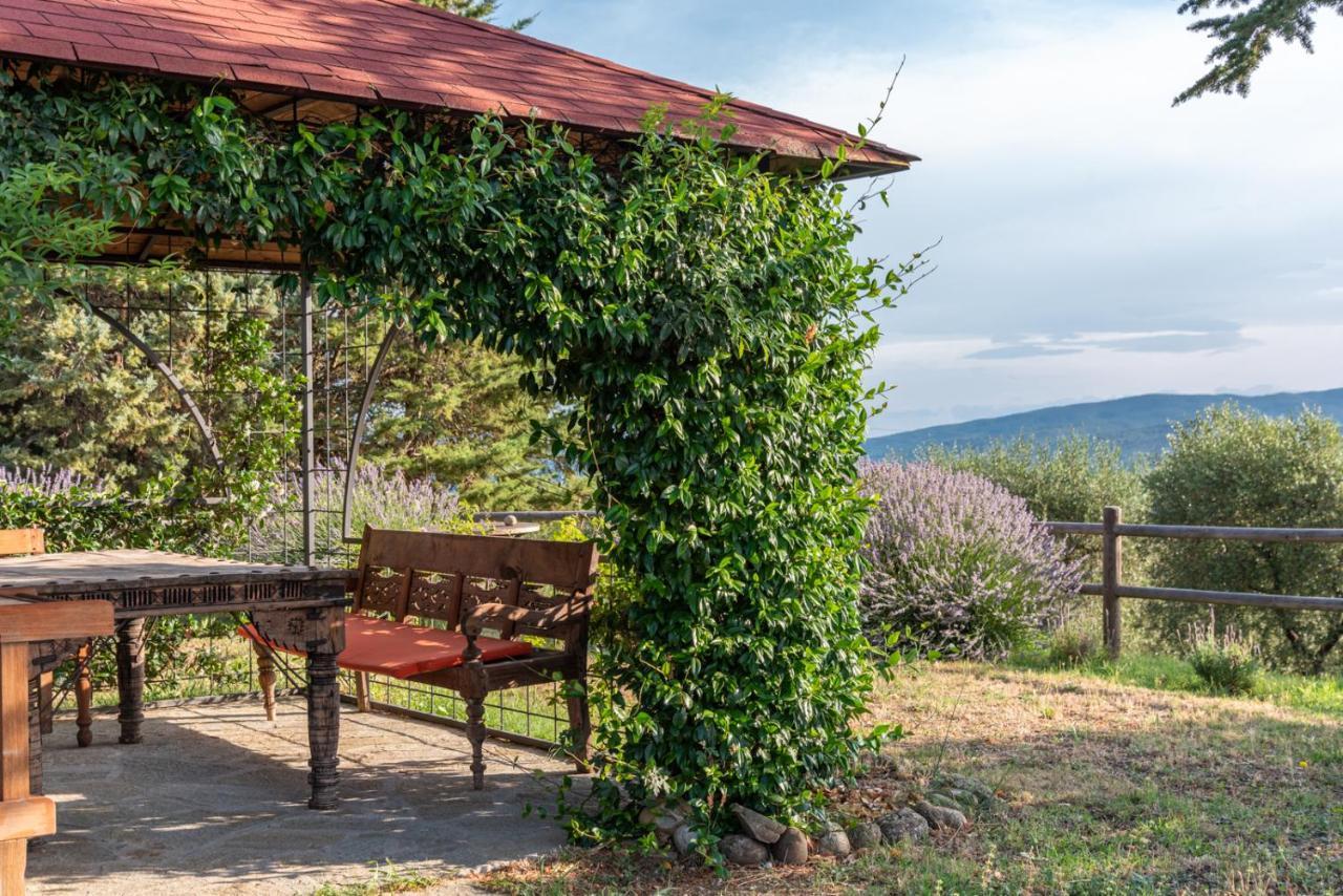 Country House Art And Garden Pension Monte Antico Buitenkant foto